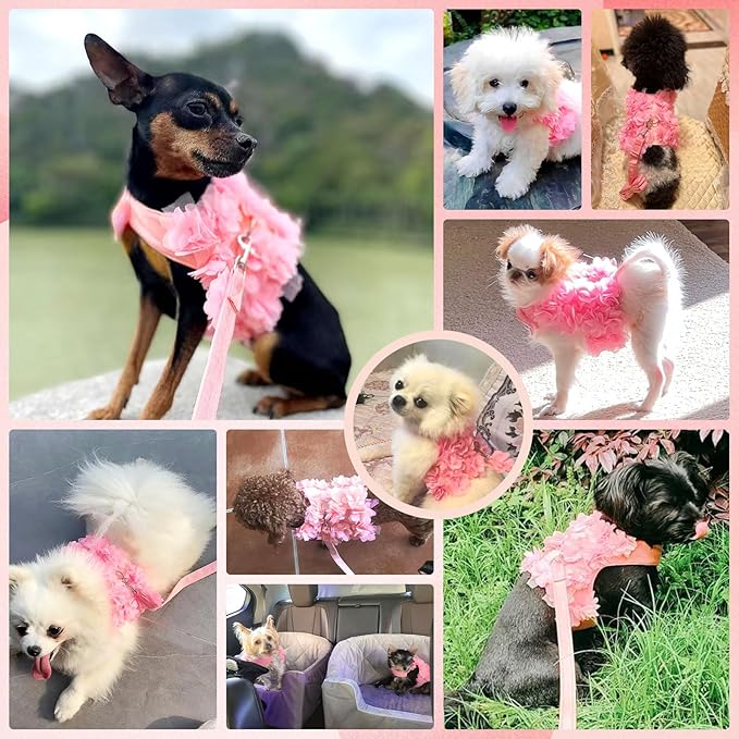Cute Small Dog Harness and Leash Set Pink Lace Floral Girl Puppy Harness for Small Dogs Cats Soft Mesh Small Sized Dog Vest Harness Escape Proof Pet Cat Harness Outfits