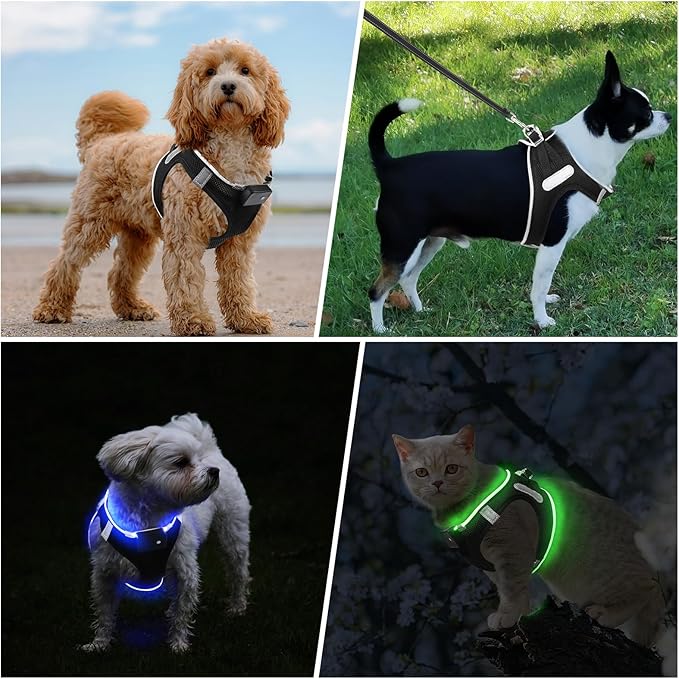 PceoTllar Light Up Dog Harness, LED No Pull Reflective Dog Harness, Flashing Lighted for Night Walking - Small/Medium, (Black Blue,m)