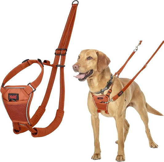 HALTI No Pull Harness - to Stop Your Dog Pulling on The Leash. Adjustable, Lightweight and Easy to Use. Reflective Dog Training Harness for Medium Dogs (Size M, Burnt Orange)