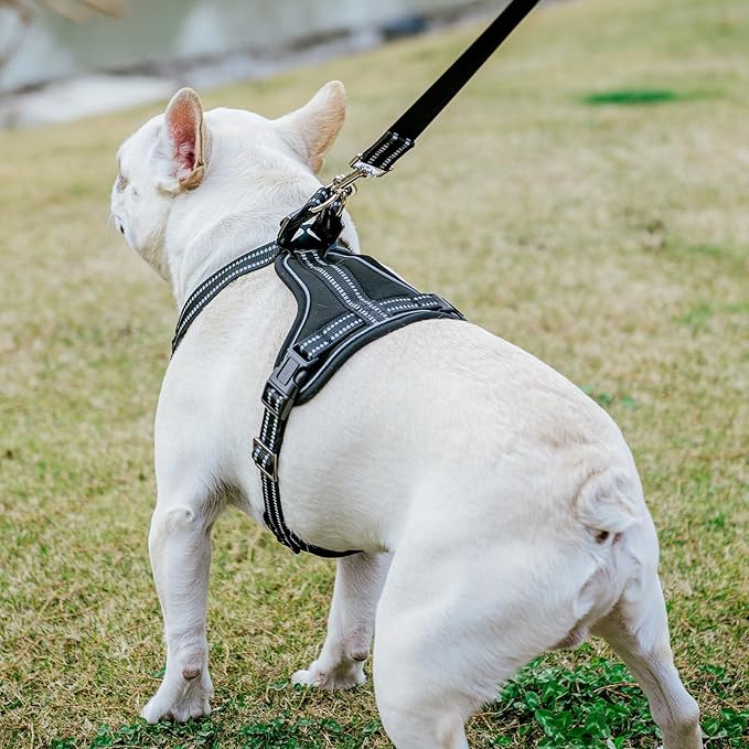 PUPTECK Dog Harness and Leash Set for Small Medium Sized Dogs, No Pull Dog Harness for Walking Training, Adjustable Reflective Puppy French Bulldog Frenchie Harness Soft Padded Vest, Black, M