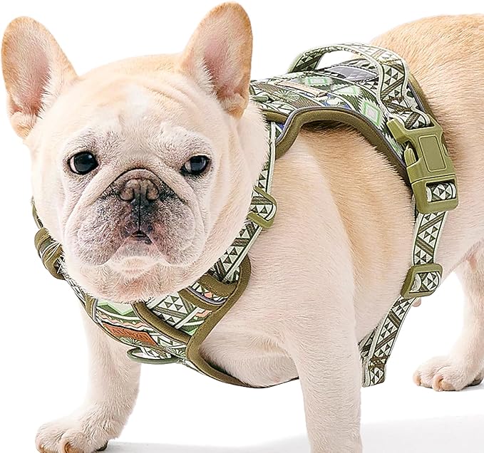 Dog Vest Harness for Medium Sized Dogs, No Pull Harness with 2 Metal Leash Clips, Easy On/Off with Neck Buckle, Adjustable Reflective Oxford Dog Vest with Easy Control Handle, French Bulldog