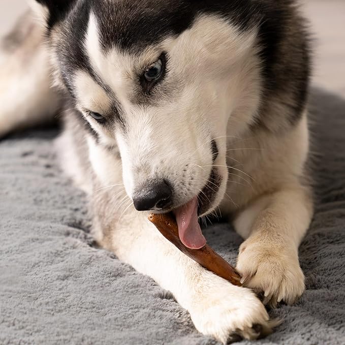 Pet Factory 100% Made in USA Beefhide 5" Chip Rolls Dog Chew Treats - Beef & Chicken Flavor, 20 Count/1 Pack