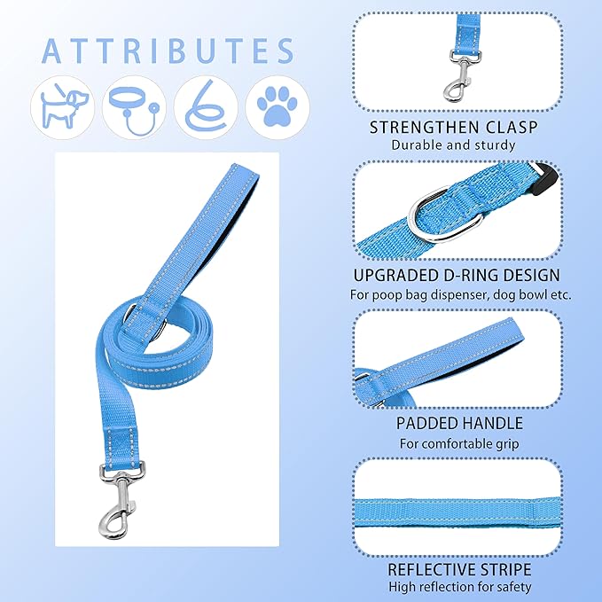 Reflective Dog Collar with Safety Locking Buckle, Adjustable Soft Breathable Nylon Collars for Small, Medium and Large Dogs(Collar+Leash XS Width 5/8" Sky Blue)