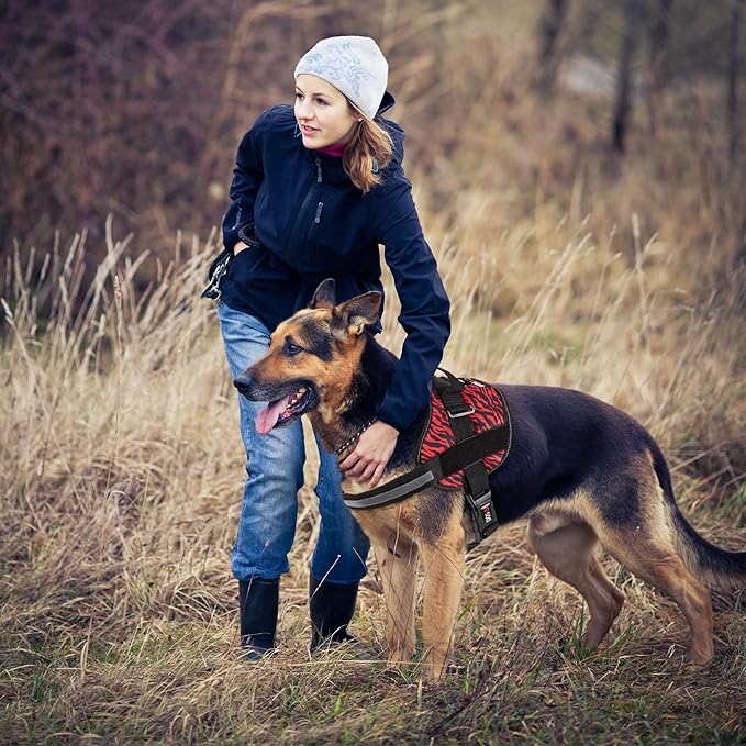 Dogline Dog Harness, Reflective No-Pull Adjustable Vest with Handle for Walking, Training, Breathable, No - Choke Harness for Small, Medium or Large Dogs Room for Patches Zebra Black/Red S 18"-24"