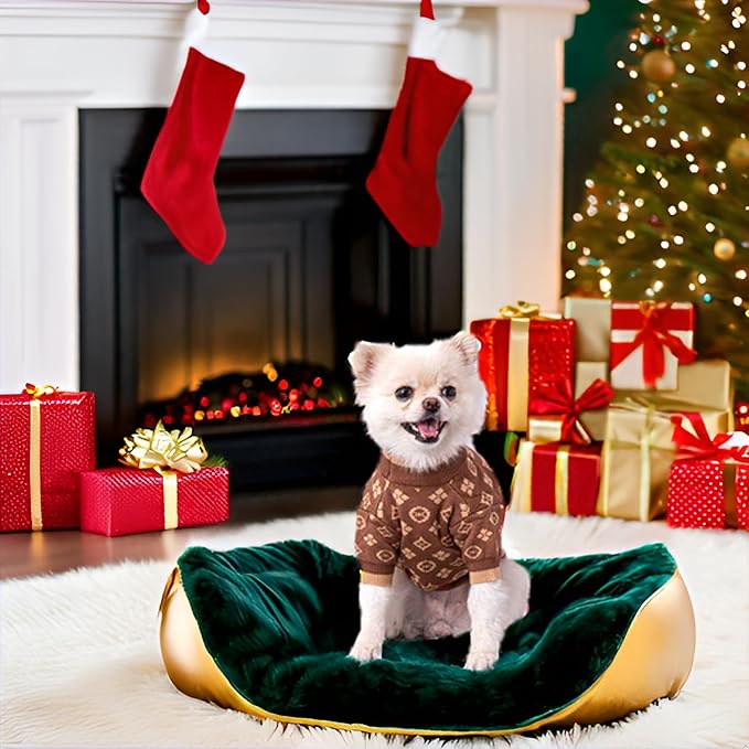 Designer Dog Clothes Sweater Shirt Outfit Small XS Teacup Cute Dogs Puppies French Bulldog Dachshund Chihuahua Cats Maltese Boy Girl (X-Small, Chewypawtton)