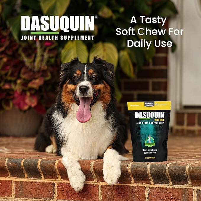 Nutramax Laboratories Dasuquin with MSM Joint Health Supplement for Large Dogs - With Glucosamine, MSM, Chondroitin, ASU, Boswellia Serrata Extract, and Green Tea Extract, 84 Soft Chews