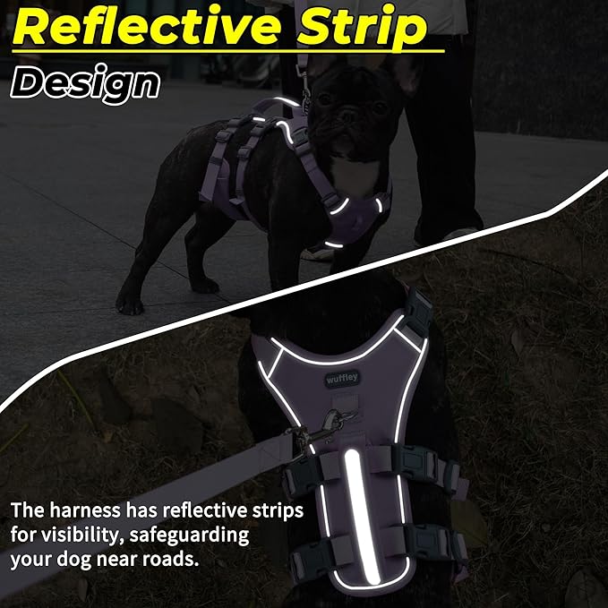 Escape Proof Dog Harness and Leash Set, Lightweight Dog Harness with Lift and Assist Handle, No Pull Reflective Pet Vest for Small Medium Dogs, Ideal for Puppy Walking and Training (Purple, M)