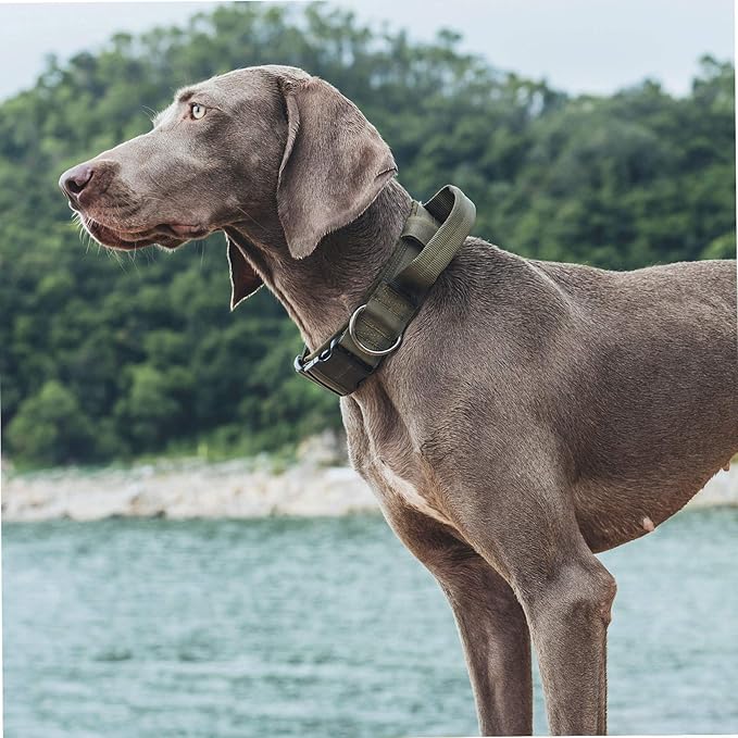OneTigris Tough Dog Collars, Tactical Dog Collar with Handle, Milltary Adjustable Dog Collar with Heavy Duty Metal Buckle for Training (Large(Pack of 1), Green)