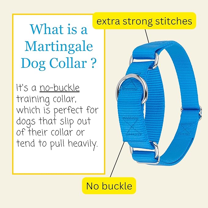 Country Brook Petz Martingale Dog Collar - Heavy-Duty Training Collar with No Buckle - Service Dog Collar for All Pups - Vibrant, Colorful Collection (Ice Blue, 3/8 Inch, 3XS)