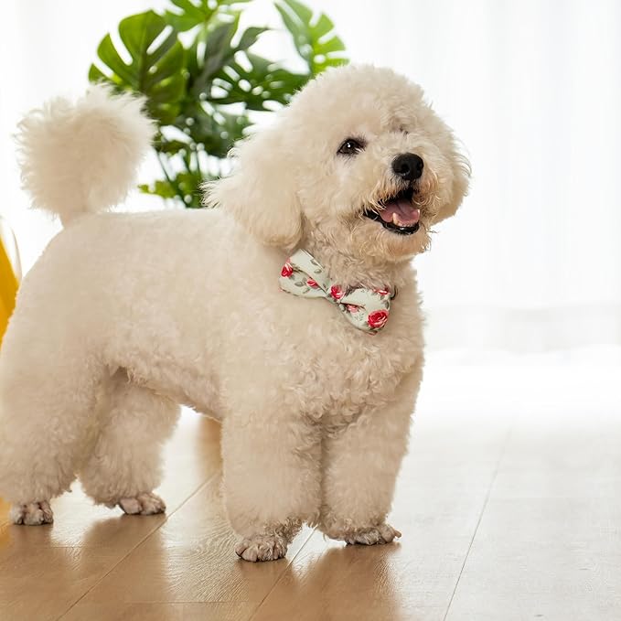 azuza Dog Collar with Bow Tie, Soft and Comfortable Adjustable Bowtie Dog Collar for Small Dogs (S, Camellia Flower)