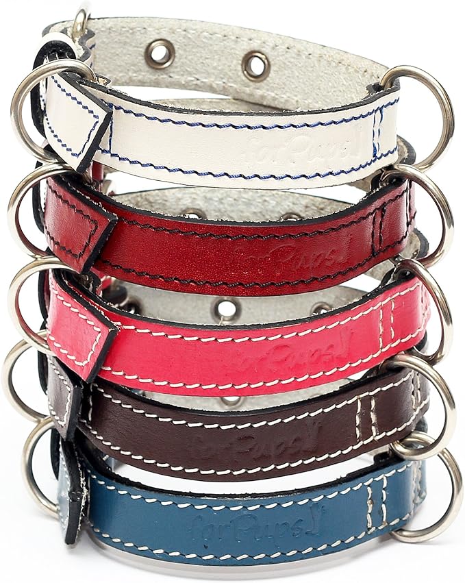 Premium Leather Collars with Stainless Steel Buckles (9"-12", Red)