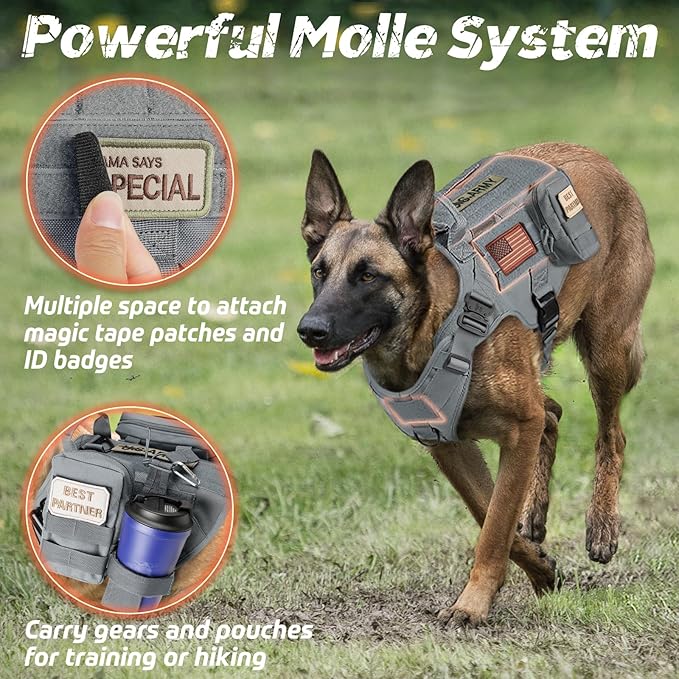 rabbitgoo Tactical Dog Harness for Large, Heavy Duty Pet Harness with Handle, No-Pull Service Vest Large Breed, Adjustable Military Dog Vest for Training Hunting Walking, Grey, XL