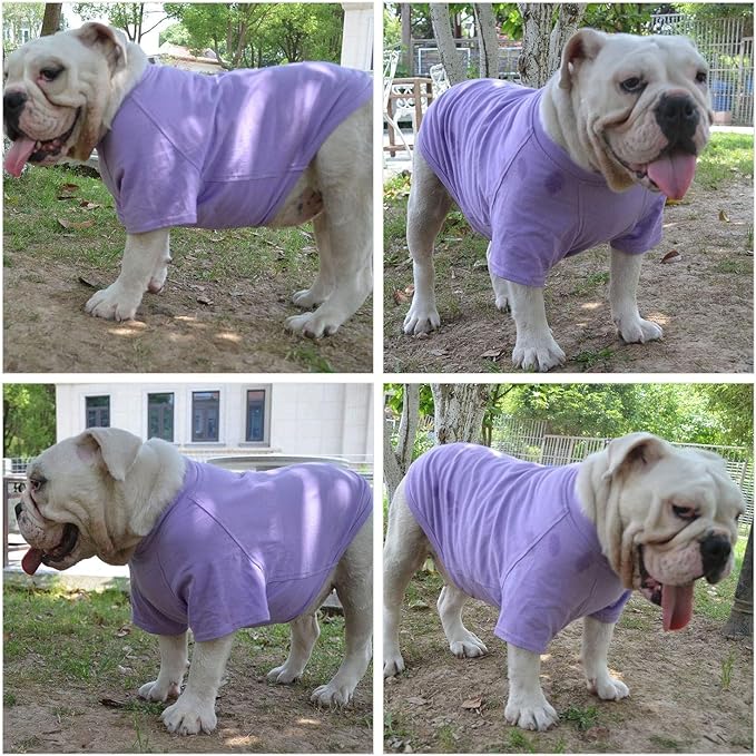 Lovelonglong Bulldog Clothes Dog Clothing Blank T-Shirt Tee Shirts for French Bulldog English Bulldog American Pit Bull Pugs 100% Cotton Skin Care Violet B-L