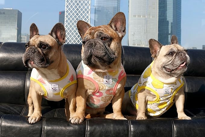 iChoue 2pcs French Bulldog Fruits Pattern Shirts 100% Breathable Cotton Tank Tops Vests Clothes for Frenchie Dogs, Lemon and Watermelon, Medium