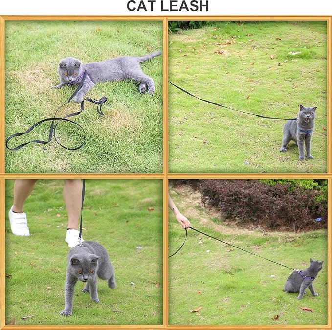 AMAGOOD 6 FT Cat Leash, Strong and Durable Traditional Style Leash with Easy to Use Collar Hook,Cat Lead Great for Cats (3/8 in x 6 ft,Black and Green(2-Pack))