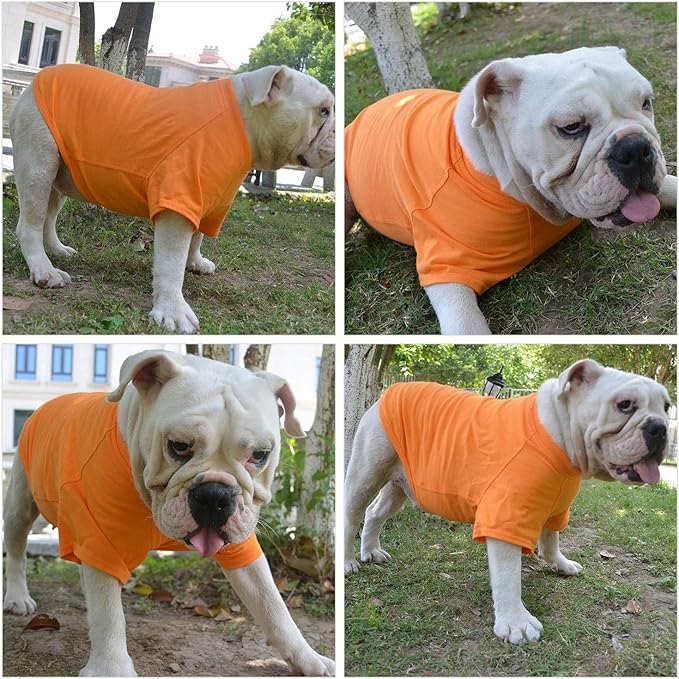 Lovelonglong Bulldog Clothes Dog Clothing Blank T-Shirt Tee Shirts for French Bulldog English Bulldog American Pit Bull Pugs 100% Cotton Skin Care Orange B-M