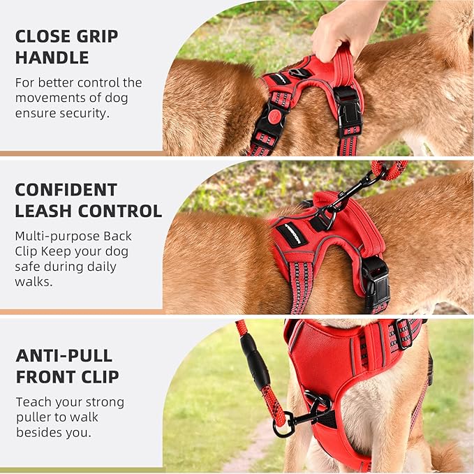 No Pull Dog Harness with A Free Heavy Duty 5ft Dog Leash, Adjustable Soft Padded Dog Vest, Reflective No-Choke Pet Oxford Vest with Easy Control Handle for Small and Large Dogs(Red, Large)