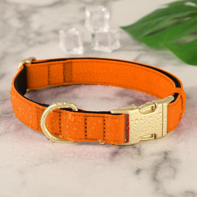 Didog Soft Padded Dog Collars for Small Dogs, Waterproof and Durable Pet Collar with Quick Release Buckle, Light and Breathable for Daily Walking,Orange,S(Neck:10-15")