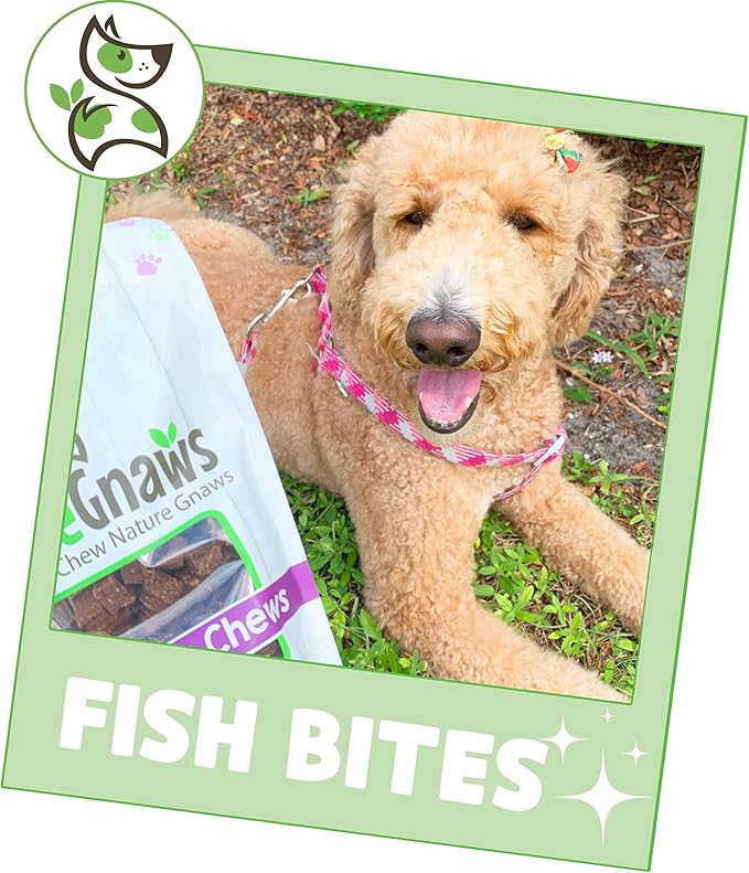 Nature Gnaws Fish Bites for Dogs - Natural Dog Treats – Premium Cod & Salmon Chewy Training Reward – 1 Lb