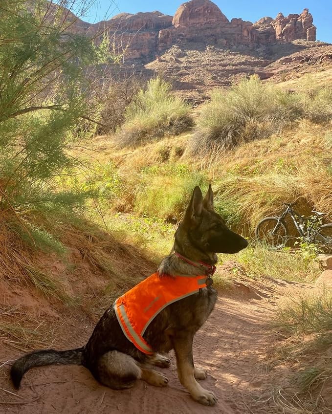 Lite Dog Vest. Coverage to Mid Back. Reflective Hi Visibility Blaze Orange Fluorescent Fabric Helps to Keep Them in Sight and Safe On and Off Leash. X-Small