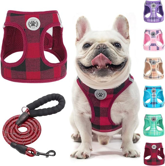 BEAUTYZOO Small Dog Harness and Leash Set,Step in No Choke No Pull Soft Mesh Dog Harnesses Reflective for Extra-Small/Small Medium Puppy Dogs and Cats, Plaid Dog Vest Harness for XS S Pets, Red L