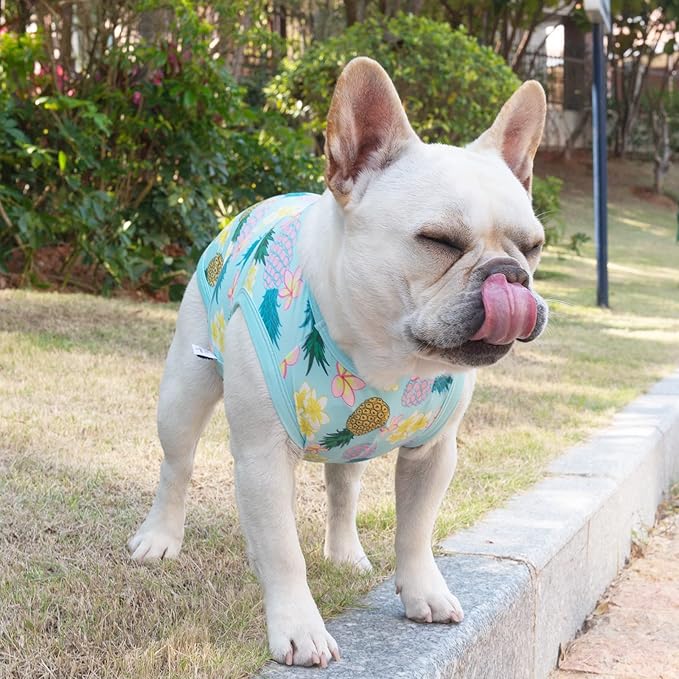 CuteBone Dog Shirts 2-Pack Soft Pet Clothes Breathable Summer Vest for Small Puppy and Stretchy Cat Apparel 2BX06S