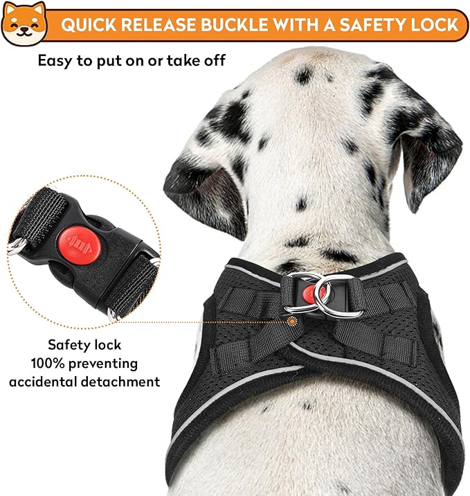 Dog Harness with Leash Set, No-Pull Step-in Reflective Pet Harness with 1 Leash Clips, Adjustable Soft Padded Easy Walk Dog Vest for Small Medium Large Dogs, Cats(Carbon Black, XXSmall)
