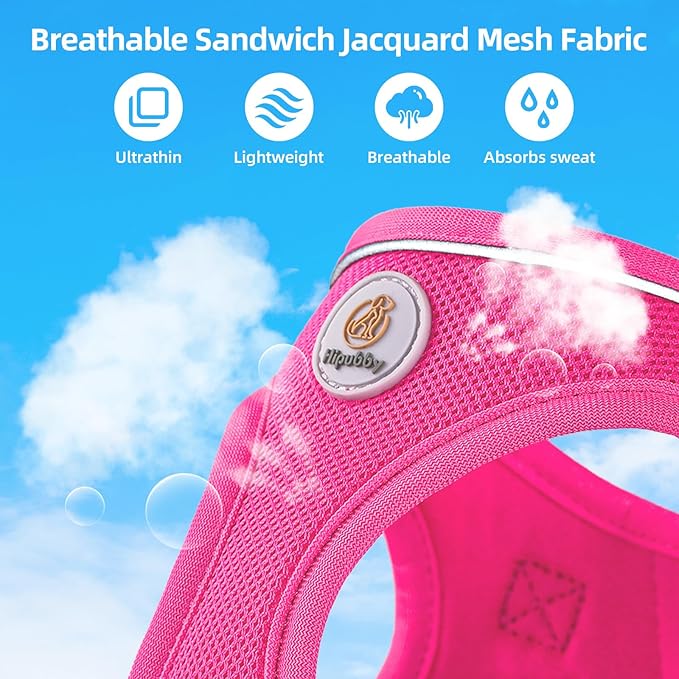 Dog Harness and Leash Set, No Pull Soft Mesh Pet Harness for Small Medium Dogs, Cats - Step in Adjustable Reflective Puppy Harness with Buckle and Double D-Rings - Red, XS