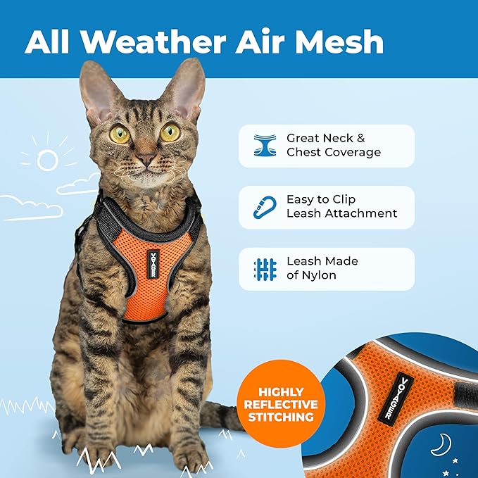 Voyager Escape Proof Cat Harness and Leash Set with Reflective Stitching, Neoprene Handle 5ft - Supports Small, Medium and Large Cats, Kittens for Walking by Best Pet Supplies - Black Trim-Orange, XS