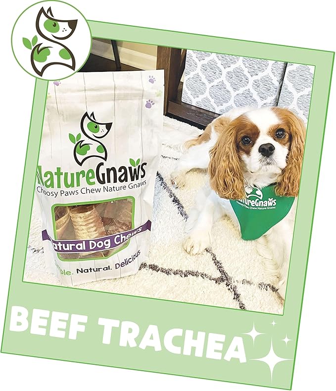 Nature Gnaws Beef Trachea Chews for Dogs 3" (12 Count) - Long Lasting Natural Crunchy Dog Chew Bones - Rawhide Free (Pack of 2)