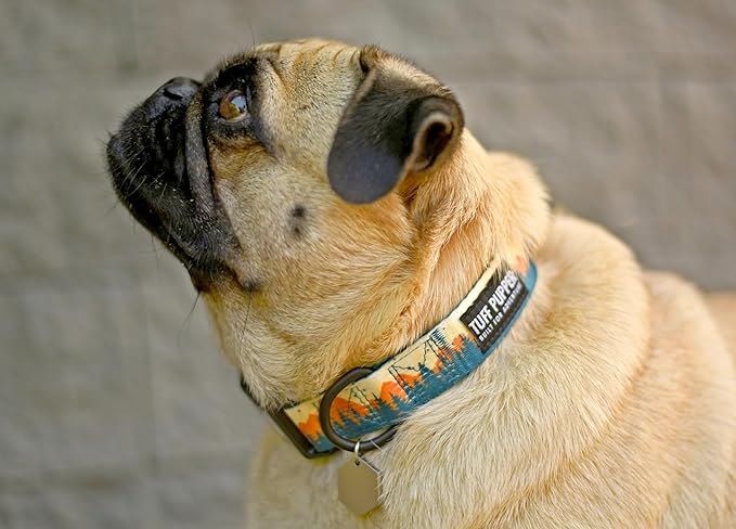 Tuff Pupper Premium Adjustable Dog Collar for Extra Large Boy Dogs, Stylish Pattern Collars Designed in USA, Quick Release Buckle, RusticPine Print for Male Dogs, XL (1.25 Inch Wide x 20-30 Inch Neck)