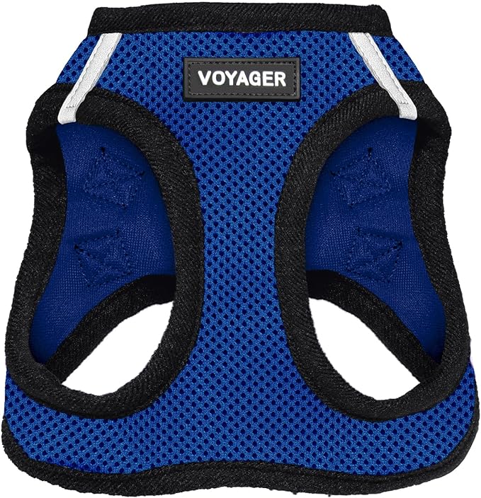 Voyager Step-in Air Dog Harness - All Weather Mesh, Reflective, No Pull Harness for Small, Medium Dogs, Cats - Secure with Hook & Loop Fastener, Buckle, Double D-Rings - Royal Blue/Black Trim, XXXS