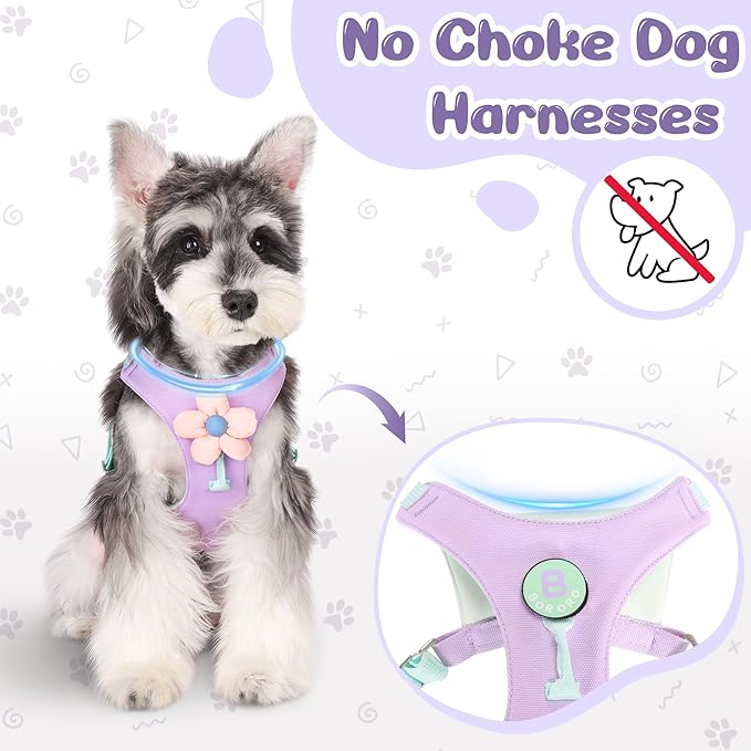 Dog Harness and Leash Set with 2 Flower Patches, No Pull Adjustable Puppy Harness, Step in No Chock Dog Vest for Small Medium Dogs Puppy and Cats(Khaki, S)