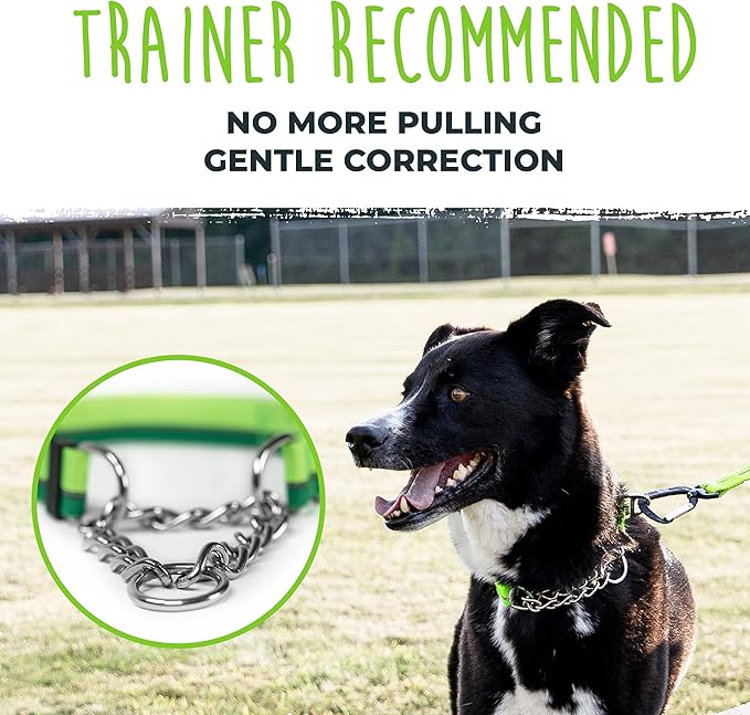 Mighty Paw Martingale Dog Collar - Gentle Correction with No More Pulling - Strong 100% Stainless Steel Chain - Weatherproof Won't Rust - Built to Last Premium Quality Nylon - Durable Plastic Buckle