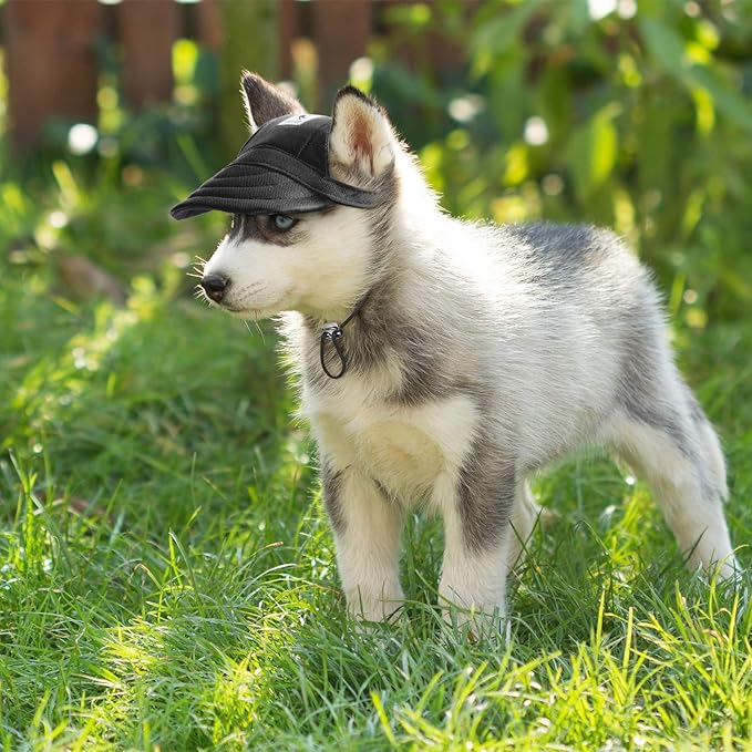 4 Pieces Pet Sun Protection Dog Visor Hats Outdoor Sports Dog Baseball Hats with Ear Holes and Adjustable Chin Strap for Extra Small Pet