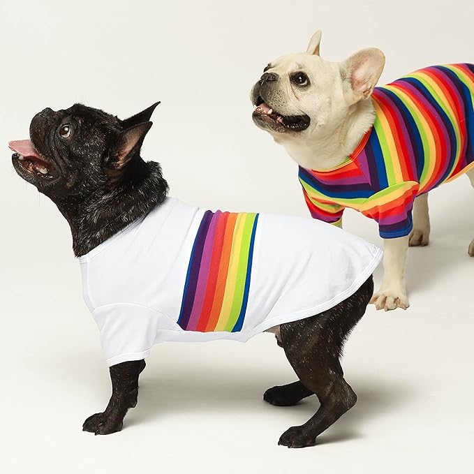 Fitwarm 3 Pack Rainbow Striped Dog Shirt, Dog Summer Clothes for Small Dogs Boy Girl, Breathable Lightweight Pet Tshirt with Sleeves, Cat Outfit, White, Black, Multicolored, Large
