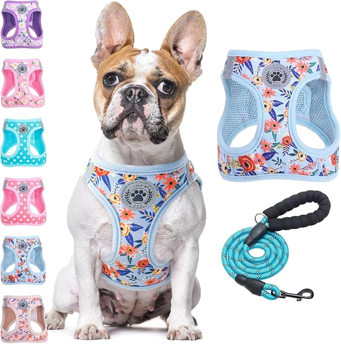 BEAUTYZOO Step in Dog Harness and Leash Set,Floral Pattern Reflective Dog Harness No Pull No Choke Puppy Harness for Small Medium Large Dogs Cats,Soft Padded Mesh Vest Harnesses for Girl and Boy Pets