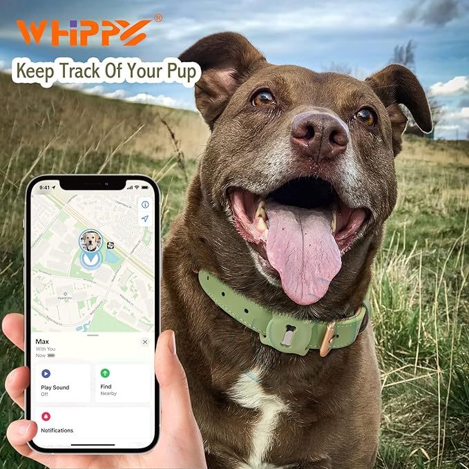 AirTag Leather Dog Collar WHIPPY Padded Apple Air Tag Dog Collar Adjustable Puppy Dog Collar with AirTag Holder Case for Small Medium Large Dog Pet,Green,XS