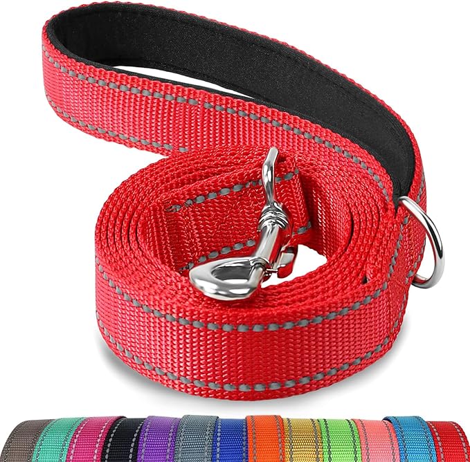 Joytale Double-Sided Reflective Dog Leash, 6 FT/5 FT/4 FT, Padded Handle Nylon Heavy Duty Leashes for Medium & Large Dogs Walking, Red, 5FT