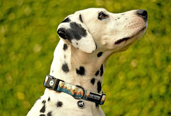 Tuff Pupper Premium Adjustable Dog Collar for Extra Large Boy Dogs, Stylish Pattern Collars Designed in USA, Quick Release Buckle, RusticPine Print for Male Dogs, XL (1.25 Inch Wide x 20-30 Inch Neck)