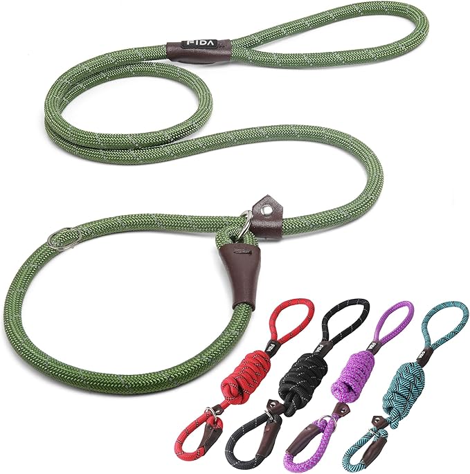 Fida Durable Slip Lead Bulk Pack of 5, Heavy Duty 1/2" x 6 FT Comfortable Strong Rope Slip Lead for Large, Medium & Small Dogs, No Pulling Pet Training Leash with Highly Reflective (Mixed)