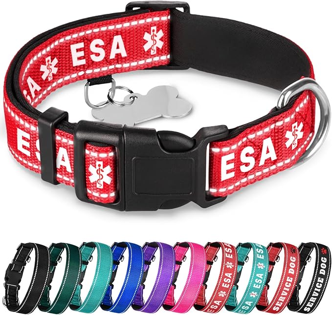 TECEUM Reflective Pet Collar – Red - ESA – XS – Extra Soft Padding – Basic Nylon Dog Collar – Quick Release Buckle – Fits Small, Medium and Large Dogs, Puppies, Cats – ESA & Service Dog Options