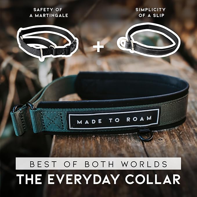 MADE TO ROAM Premium Everyday Dog Collar - Martingale Style No Pull Vegan Leather Collar, Heavy Duty and Lightweight for Small, Medium, Large Dogs (Michigan Autumn, Size 2)