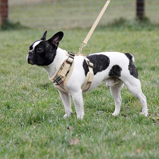 PUPTECK Soft Mesh Dog Harness and Leash Set Pet Puppy Cat Adjustable Reflective Padded Vest No Pull Harnesses, Beige, L