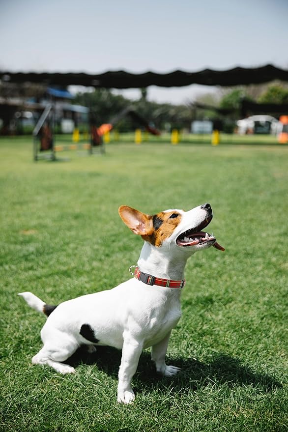 Dog Collar, Cute Stripe Pattern, Soft and Adjustable Collar with Quick Release Buckle (S (Neck 11-18", Width 5/8"), Stripe Red)
