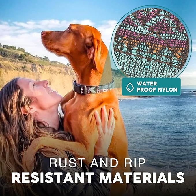 Embark Adventure Dog Collar – Stylish & Durable Nylon Collar for Medium Dogs, Comfortable & Adjustable Pet Collar for Medium Sized Dog with Strong Buckles