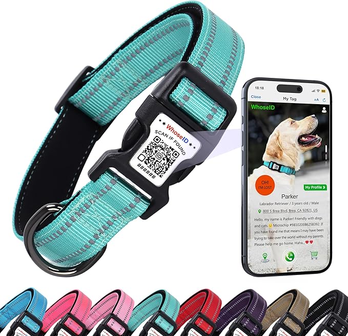 Dog Collar with QR Code, Reflective Dog Collar, Soft Neoprene Padded & Safety Locking Buckle Adjustable Pet Collar (Teal, X-Small)