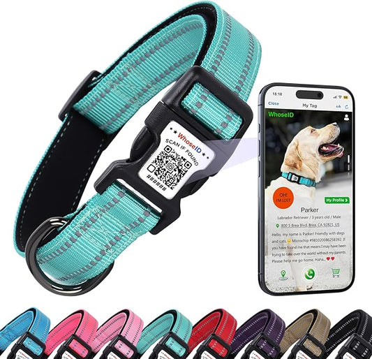 Dog Collar with QR Code, Reflective Dog Collar, Soft Neoprene Padded & Safety Locking Buckle Adjustable Pet Collar (Teal, Small)