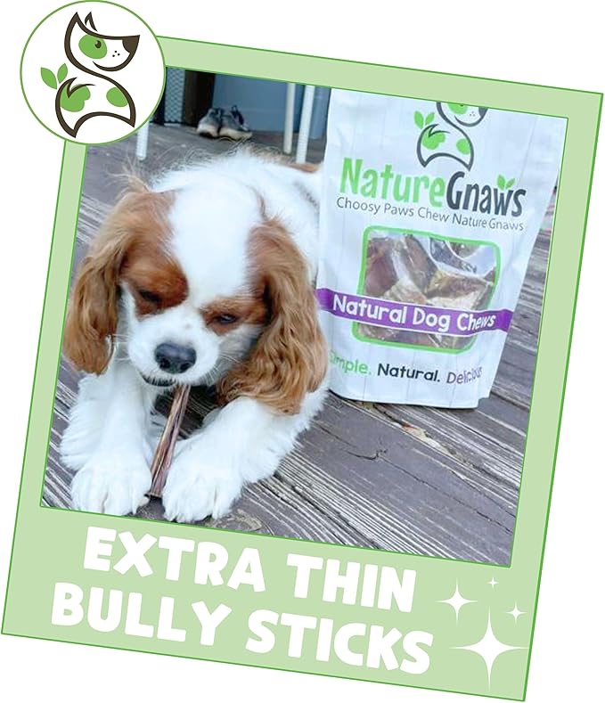 Nature Gnaws Extra Thin Bully Sticks for Small Dogs 5-6" (50 Count) - Long Lasting for Light Chewers and Puppies - Natural Beef Dog Chew Bone