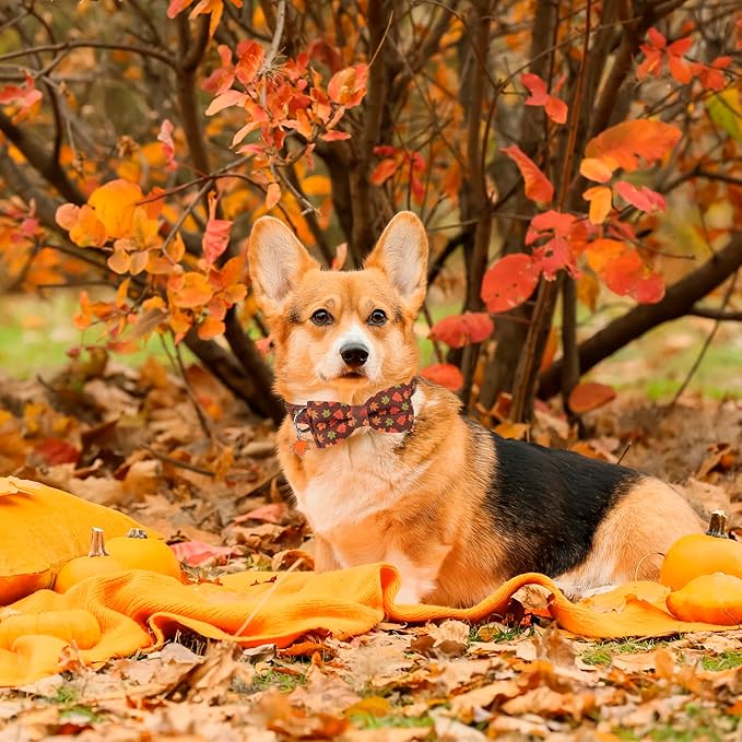 ADOGGYGO Fall Dog Collar with Bowtie, Adjustable, Brown, Maple Leaves Pattern, Halloween Thanksgiving Fall Bow Collars for Small Medium Large Dogs (Medium)